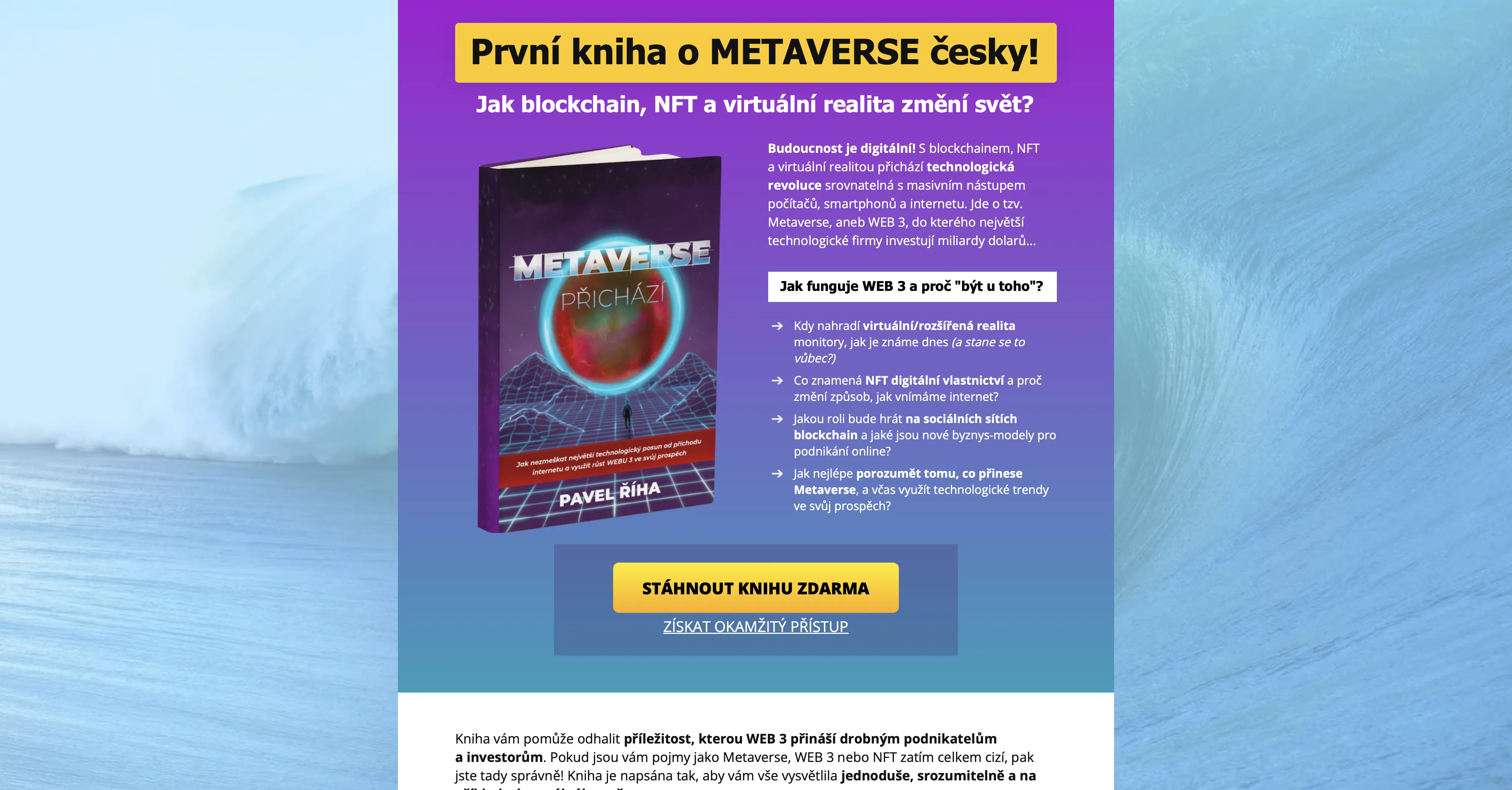 Kniha Metaverse přichází, Pavel Říha